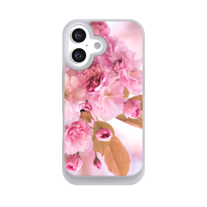 iPhone 16 NIVOpure Kirschblütenbaum Fotografie