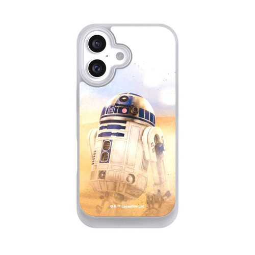  NIVOpure R2D2 in der Wüste
