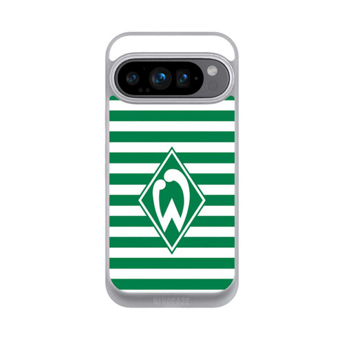 Google Pixel 9 Pro NIVOpure Werder Ringel