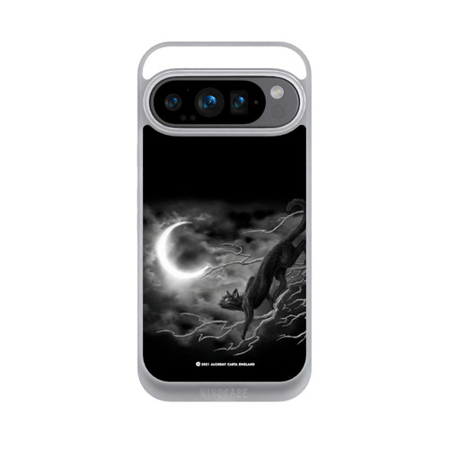 Google Pixel 9 Pro NIVOpure Minnaloushe