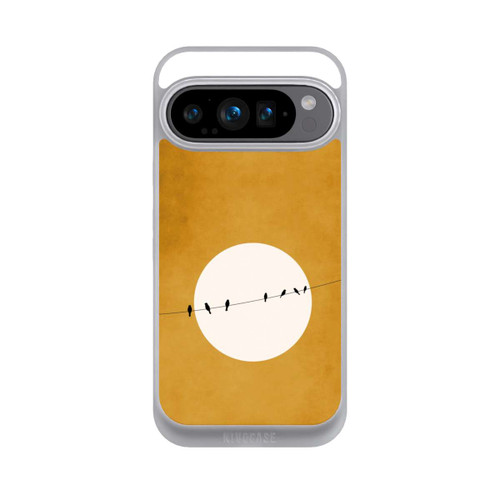 Google Pixel 9 Pro NIVOpure Chirping And Chilling