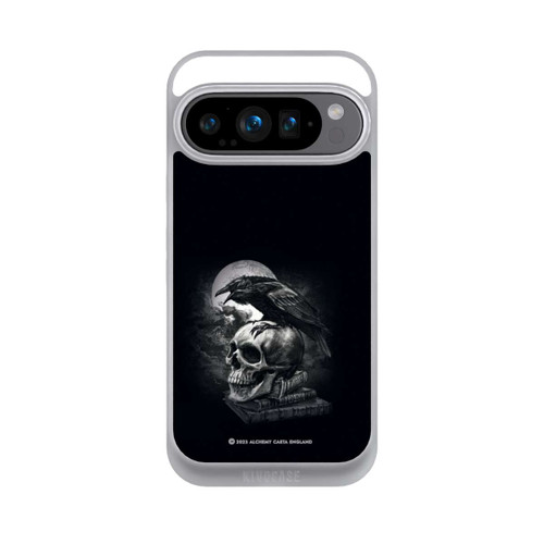 Google Pixel 9 Pro NIVOpure Poe's Raven