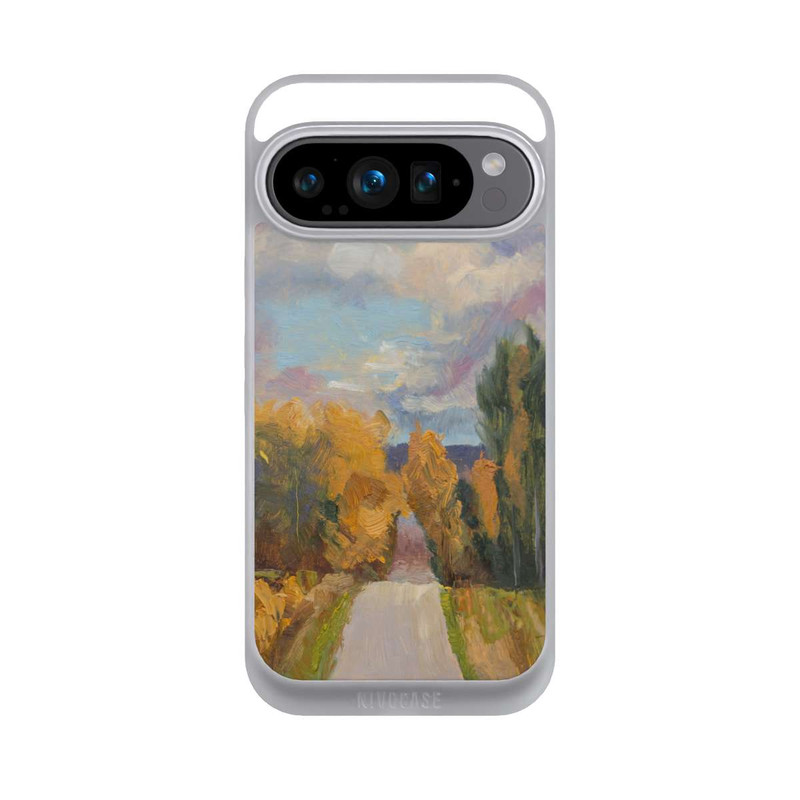 Pixel 9 Pro NIVOpure Grandview Autumn by Roberta Murray