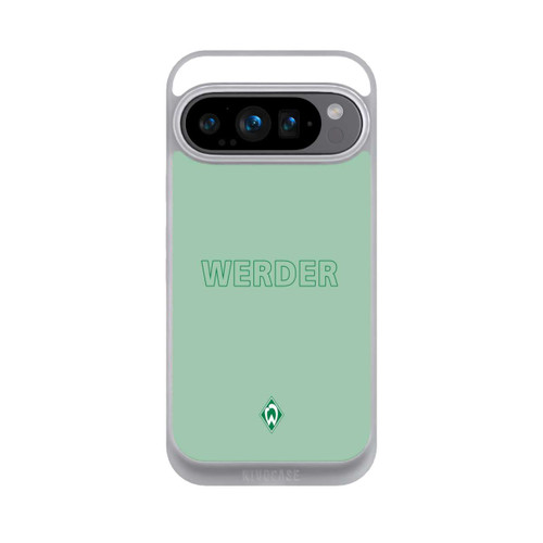 Google Pixel 9 Pro NIVOpure Werder Grün