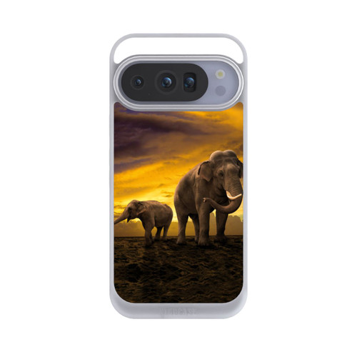 Google Pixel 10 Pro NIVOpure This is Africa