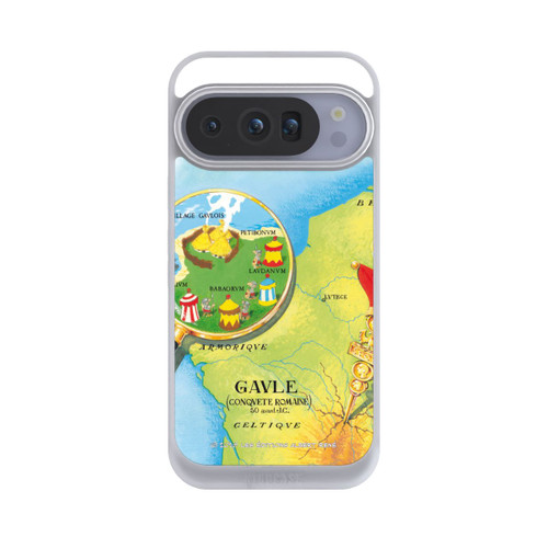 Google Pixel 10 Pro NIVOpure Gaule Carte