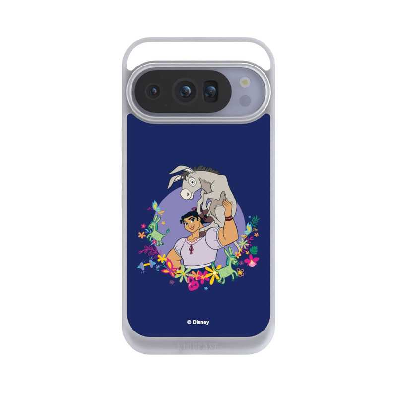 Pixel 10 Pro NIVOpure Luisa - Encanto
