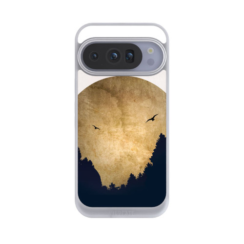 Google Pixel 10 Pro NIVOpure Zwei Vögel vor Mond