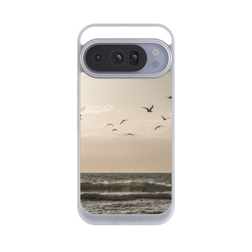 Google Pixel 10 Pro NIVOpure Vögel und das Meer 3