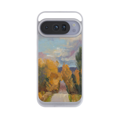 Google Pixel 10 Pro NIVOpure Grandview Autumn by Roberta Murray