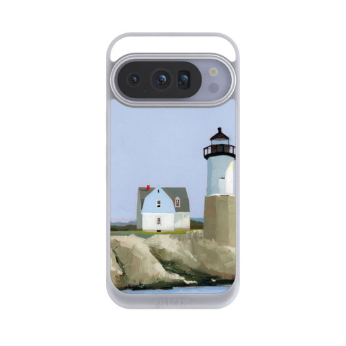 Google Pixel 10 Pro NIVOpure Guide by Ruth LaGue