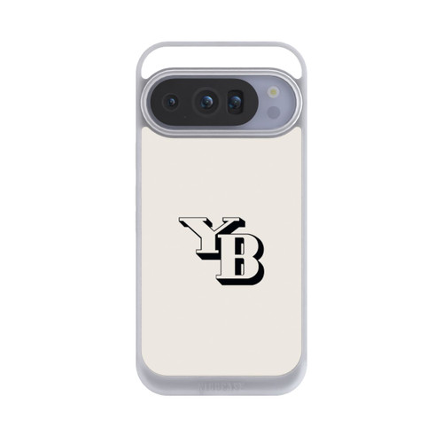 Google Pixel 10 Pro NIVOpure BSC YB gris clair