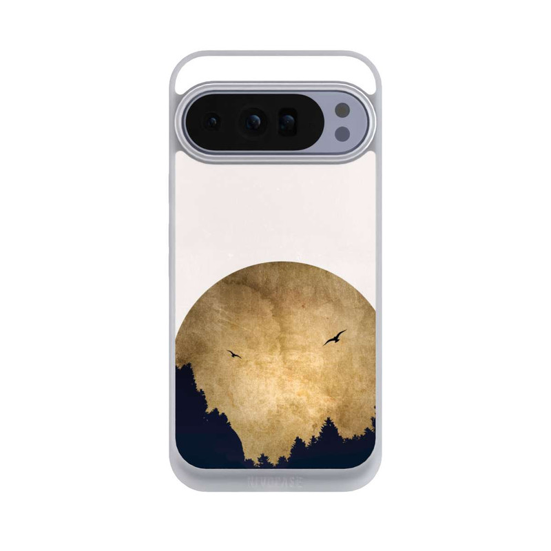 Pixel 10 Pro XL NIVOpure Zwei Vögel vor Mond