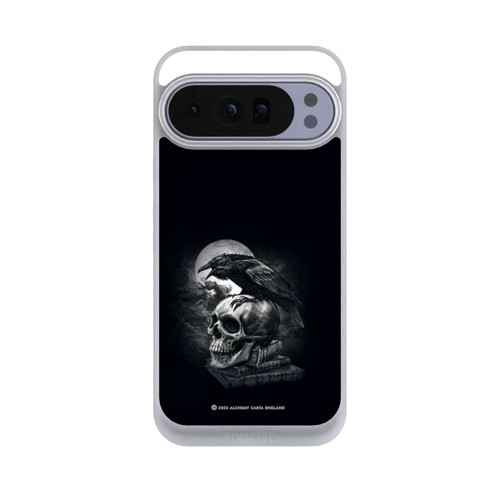 Google Pixel 10 Pro XL NIVOpure Poe's Raven