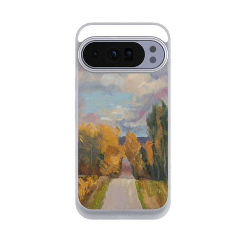 Google Pixel 10 Pro XL NIVOpure Grandview Autumn by Roberta Murray