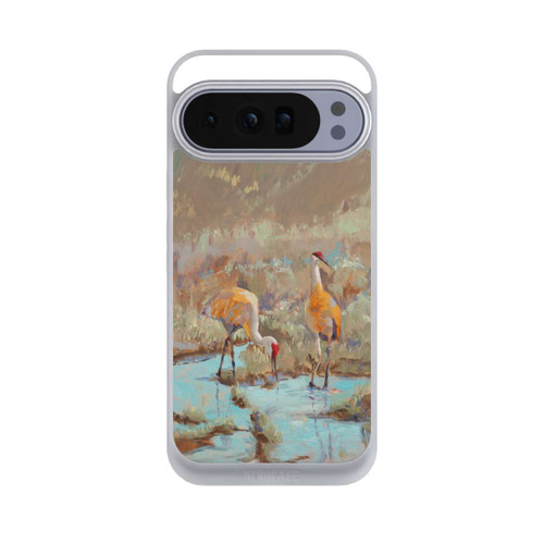 Google Pixel 10 Pro XL NIVOpure The Courtship by Roberta Murray
