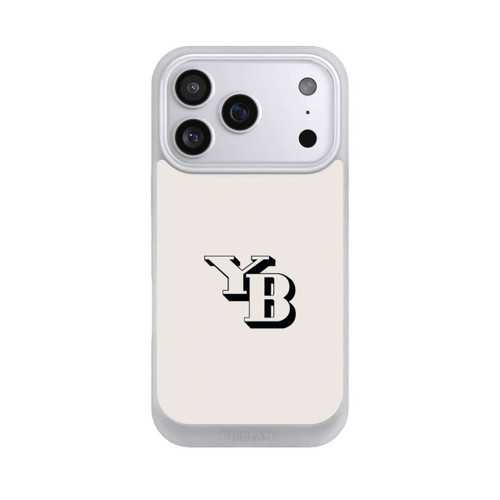 Apple iPhone 17 Pro NIVOpure BSC YB Hellgrau