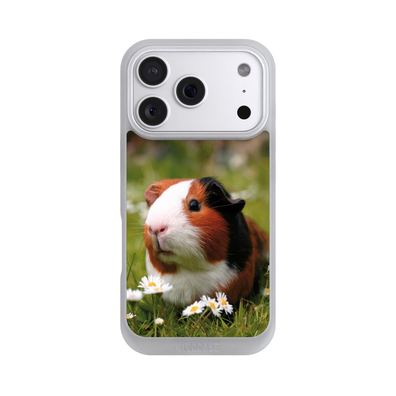 iPhone 18 Pro NIVOpure Meerschweinchen
