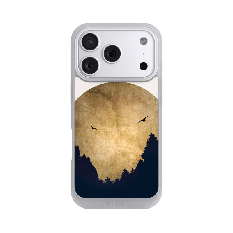 iPhone 18 Pro NIVOpure Zwei Vögel vor Mond