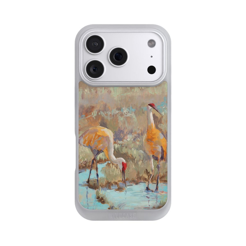 iPhone 18 Pro NIVOpure The Courtship by Roberta Murray