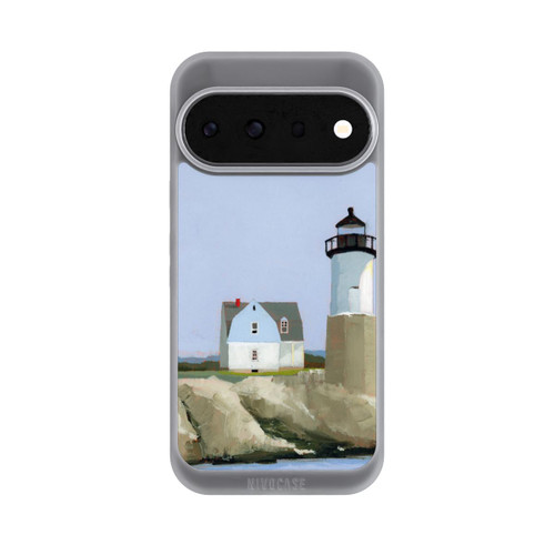 Google Pixel 11 Pro NIVOpure Guide by Ruth LaGue