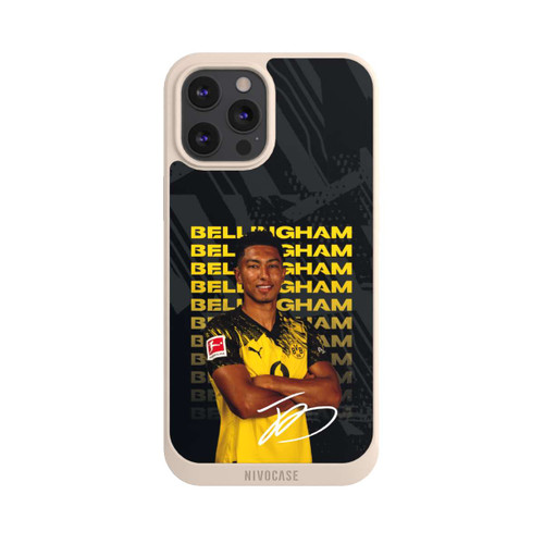 Apple iPhone 12 Pro Max NIVOpure Jobe Bellingham 25/26