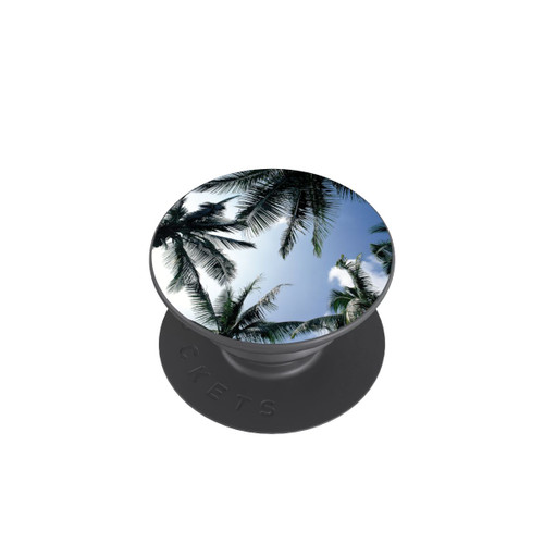  PopGrip Palm View