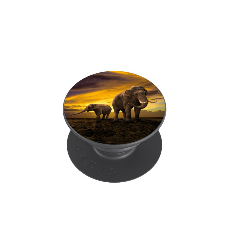  PopGrip This is Africa
