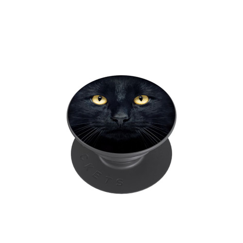 PopGrip Tom Chat