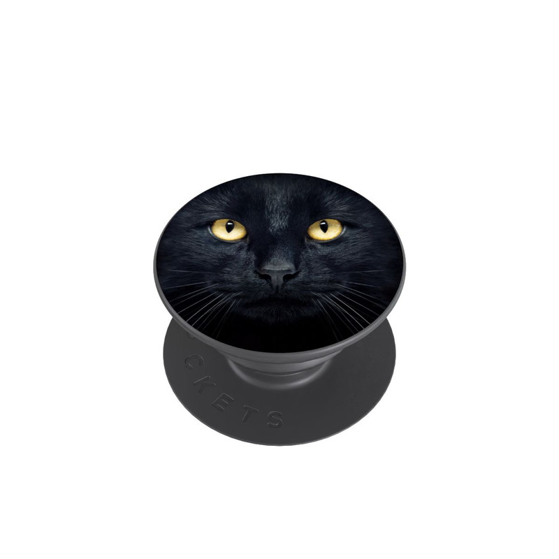  PopGrip Tom Chat