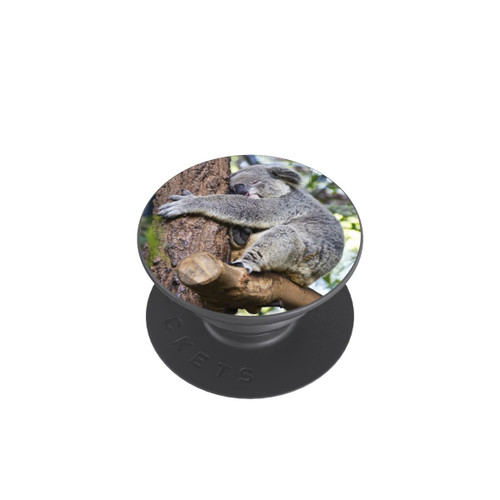  PopGrip Koala
