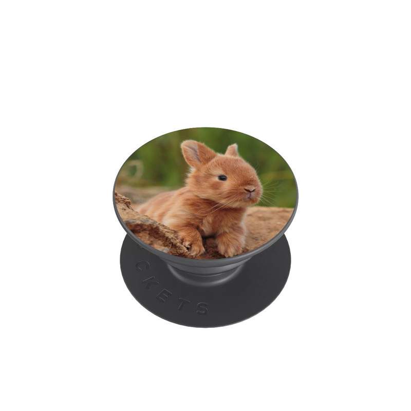 PopGrip Bébé Lapin