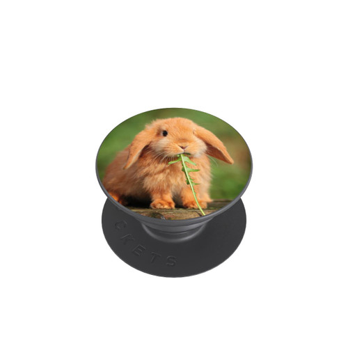  PopGrip Kaninchen mit Grünzeug