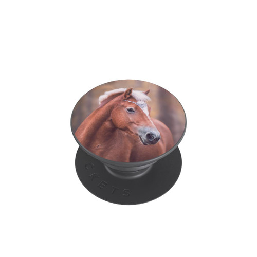  PopGrip Haflinger Porträt