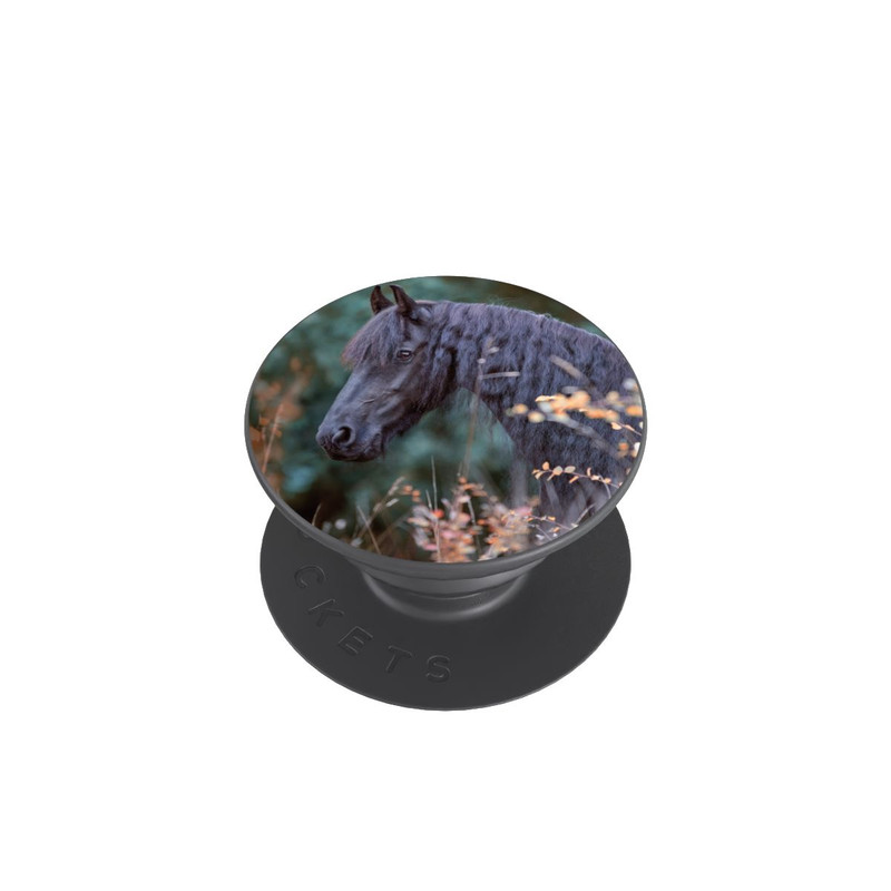  PopGrip Portrait d'un Frison