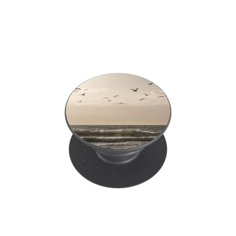  PopGrip Vögel und das Meer 3