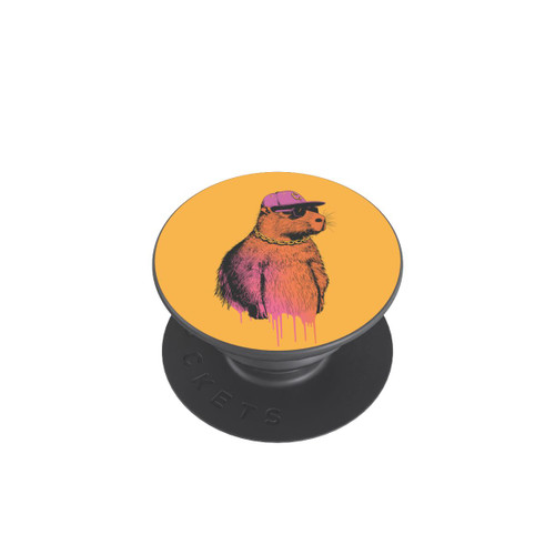  PopGrip Capybara Cap Square