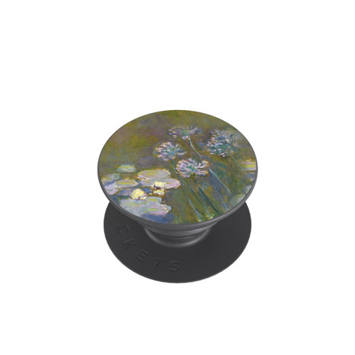  PopGrip Waterlilies and Agapanthus