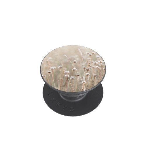  PopGrip Coastal Flowers