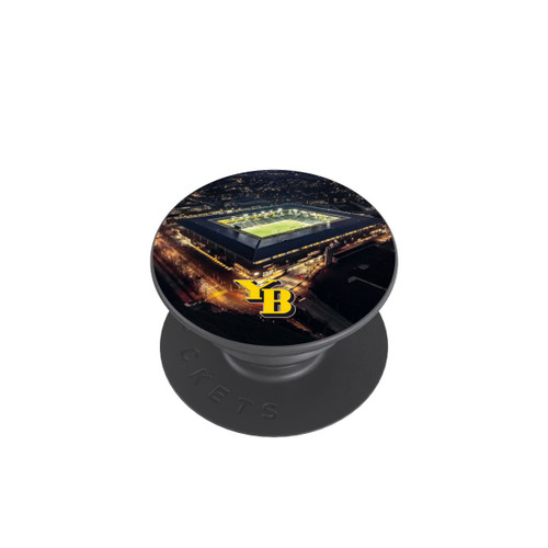  PopGrip BSC YB Stadium Logo
