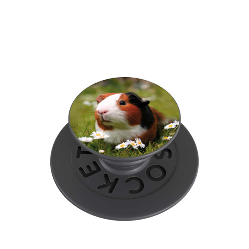  PopGrip Meerschweinchen