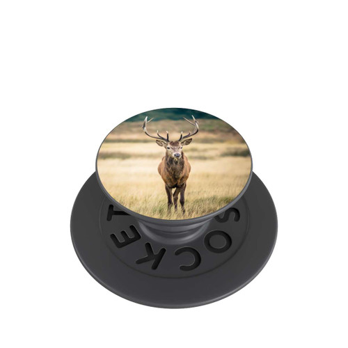  PopGrip Roi de la Forêt