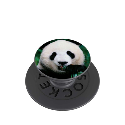  PopGrip Panda mit Bambus
