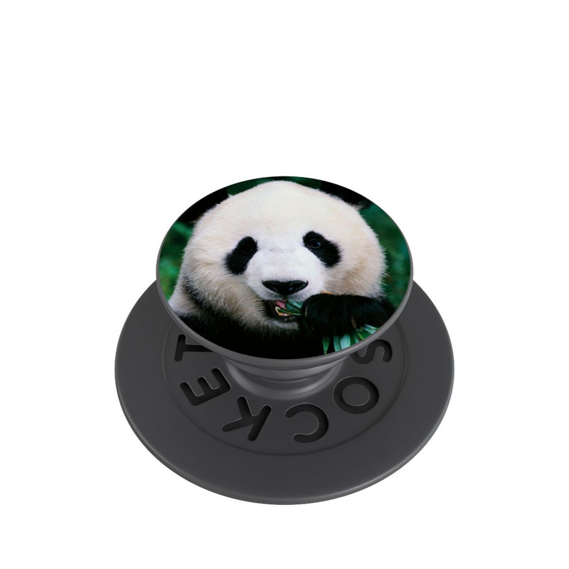  PopGrip Koala Bambou
