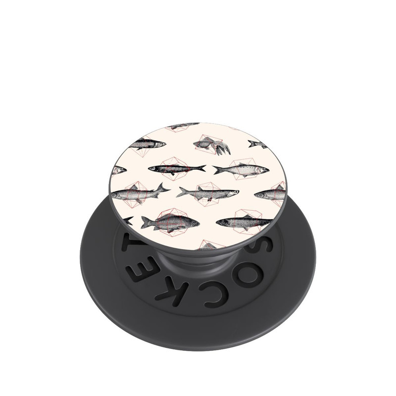  PopGrip Poissons en géométrie
