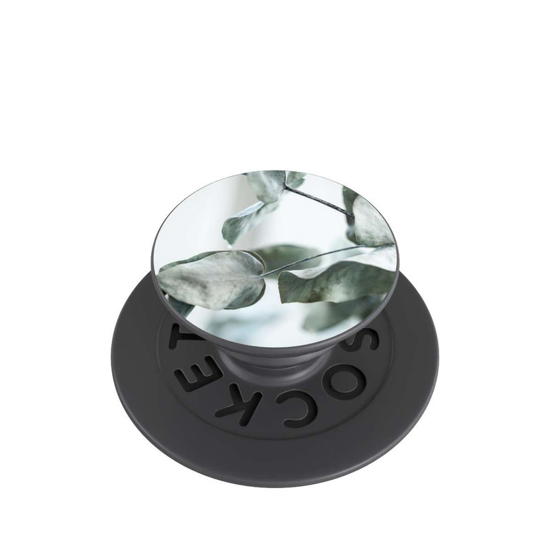  PopGrip Eucalyptus 8