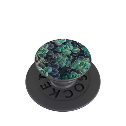  PopGrip Succulent bed