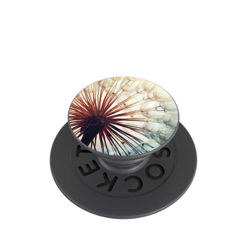  PopGrip Löwenzahn 1