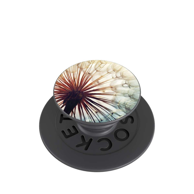  PopGrip Dandelion 1