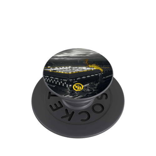  PopGrip BSC Young Boys Stadion